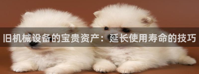 九游会官网在线登录入口