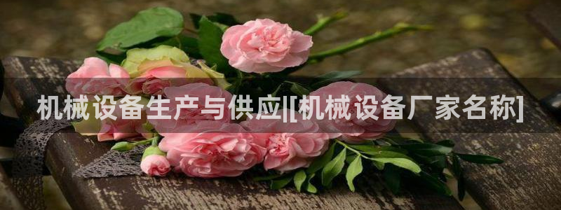 九游会平台登录不上