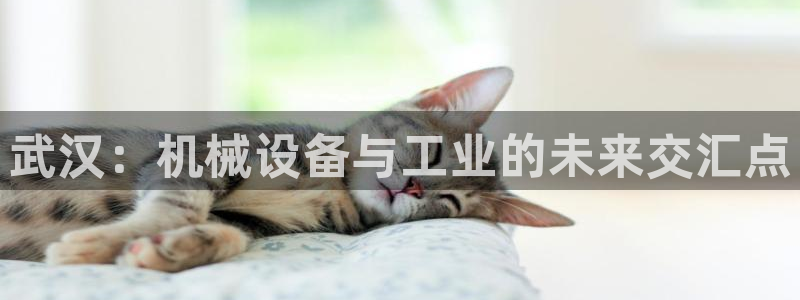 九游会集团菲律宾