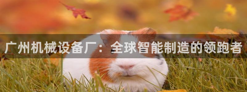 j9九游会app在哪里