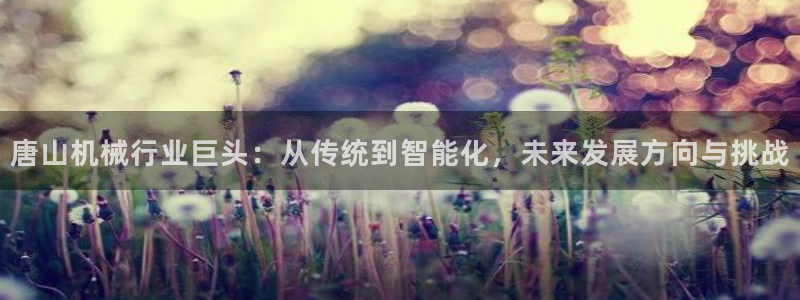 九游会ag网址大全专业版