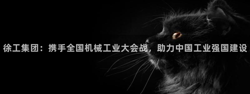 ag老帅百度百科