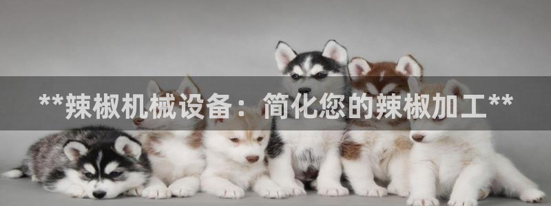 j9九游会ag8手机aPP