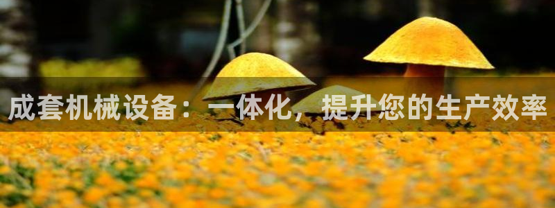 九游会官网登录首页|