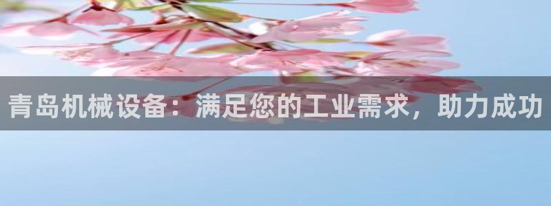 J9九游会九游国际版